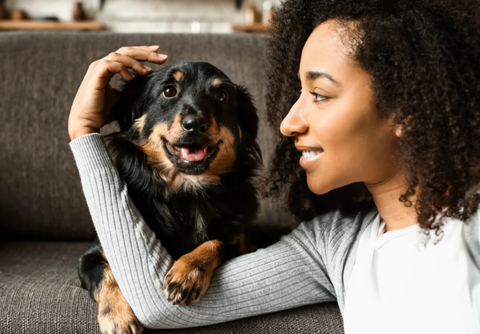 A woman sitting in front of a couch with her arm around a black and brown dog. 